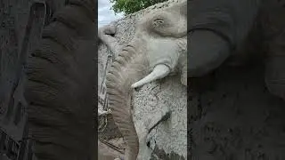 Забор из бетона, Слон...