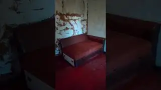 Сюрпризы