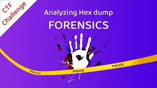 Analyzing Hex dumps | Vulnfreak CTF | Mega Sale | Forensics | Walkthrough