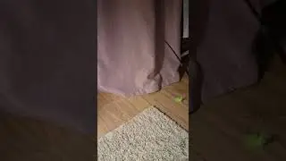Игрок. Ибра кит.