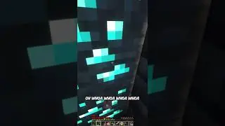 Minecraft, But I'm An Evoker 
