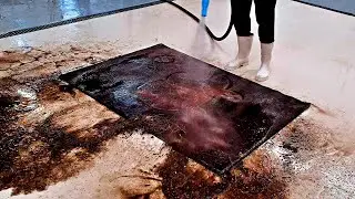 It's amazing how this happy fish jumped out of the muddy abyss | Speeded Up
