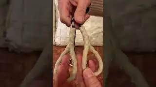 VERY RARE 50" Horsehair Piercing Harness for Sundance or Pulling by HorseBear of Drum,Rattle,Dance.
