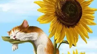 Кіт і соняхи — подарунок від подруги 