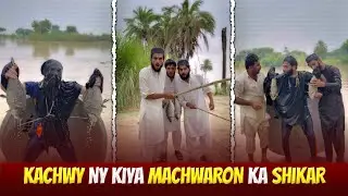 🐢 Kachwy Ny Kiya Machwaron Ka Shikar