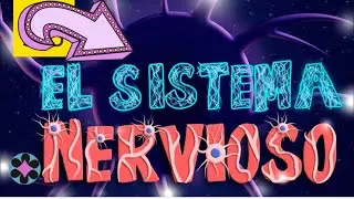 Sistema Nervioso