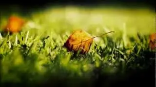 Nerutto - Fields Of Love (Original Mix)