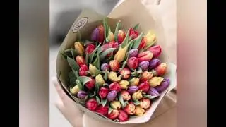 Поздравление с 8 марта.