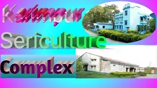 #karimpur