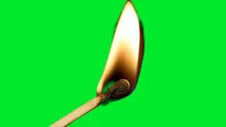 जलती हुई माचिस की तीली | धीमी गति | HD-Burning matchstick. Slow-mo | Burning matchstick green screen