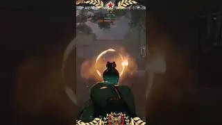 Rex finish 