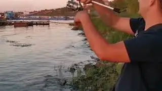 Приманки ARpil