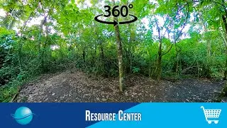 VR/360: Costa Rican Wilderness
