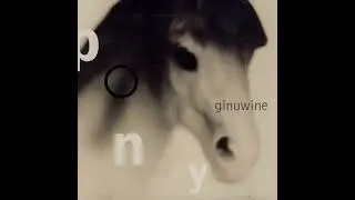 Ginuwine - Pony (Super Clean Radio Edit)