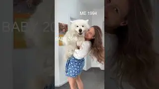 Mom of a fluffy dog 🐶 #baby #dog #dogmom #samoyed