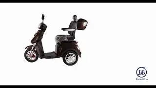 Bleile Bikes B1-1000/3 Elektro-Seniorenmobil