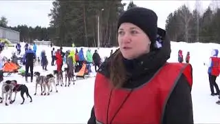 Чемпионат по ездовым видам спорта прошел в Первоуральске