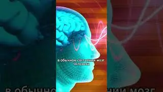 Зачем Нужна Мантра? #мантра #медитация #йога