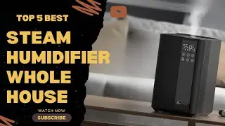 Top 5 Best Steam Humidifiers Whole House [Review in 2023]