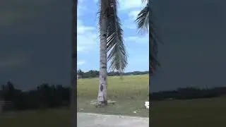 Drive from Ozamiz city to Dipolog city