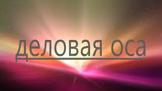Прямая трансляция пользователя деловая оса