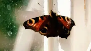 У нас сегодня были гости🥰🥰🥰
