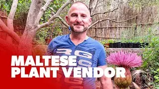 Malta Plants Vendor in Binġemma, Malta 🇲🇹