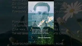 Ромашка... Василь Симоненко