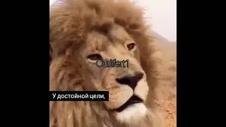 Цитатное видео 2 