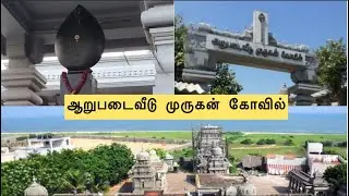 ஆறுபடைவீடு முருகன் கோவில் Besant Nagar Chennai #explore #india