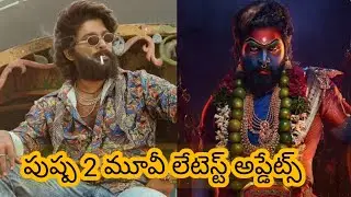 పుష్ప 2 మూవీ లేటెస్ట్ అప్‌డేట్స్ // pushpa 2 release date #pushpa #alluarjun #telugumovies