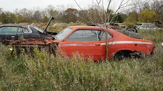 Explore Elmer's Auto Graveyard with a Junkyard Expert!