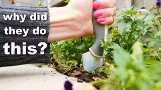 100 year old WEIRD baking hacks | How To Cook That Ann Reardon