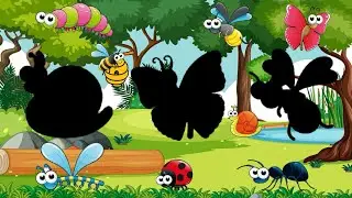 Cute Animals Insect Fly Dragonfly Butterfly Snail Ant Caterpillar
