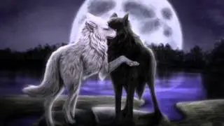 Some kind of beautiful- Anime wolves