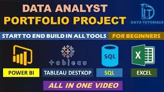 Data Analyst Portfolio Project | Complete Project | Start to End | 