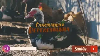 Канал 