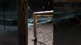 К нам на ферму пришла зима.