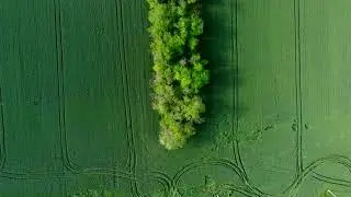 Новощербиновская. Поля. Часть 2. [4K UHD]