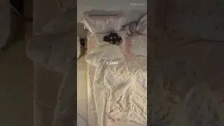 🎀5am morning routine🩰*get motivated!* 