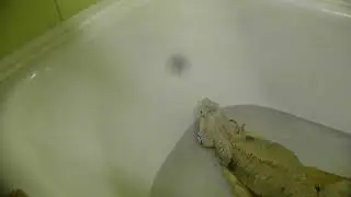 Мальчик в ванне