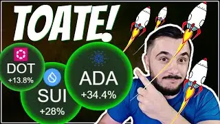ÎNCEPE BUBUIALA PE ALTCOINS? Dominanța Bitcoin începe să scadă! SUI peste 3$!🚀