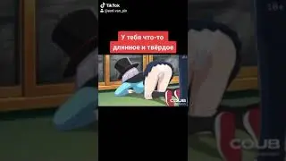 Где твоя палка