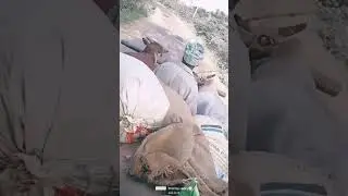 😍 Heavy work balancing together 😍