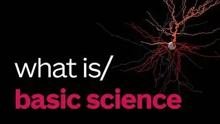 What is basic science and why does it matter?