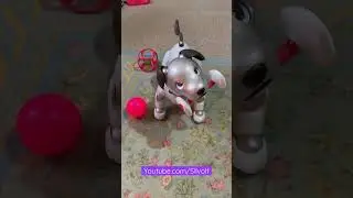 Fun with Aibone