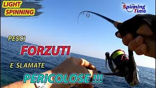 LIGHT SPINNING  - PESCI FORZUTI E SLAMATE PERICOLOSE !!!