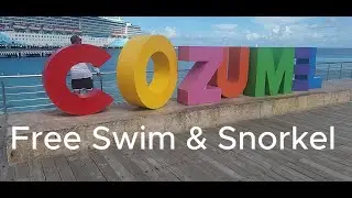 Cozumel Free Swim & Snorkel