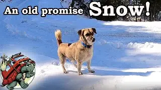Timo has never seen snow. Time to go into the mountains to find it