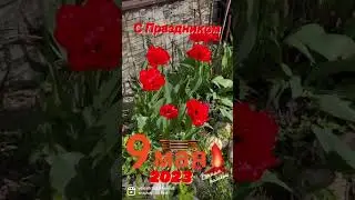 🌹Желаю ясных, светлых дней,Пускай уходят прочь все беды,Пусть будет мир в стране моей,С Днём Победы